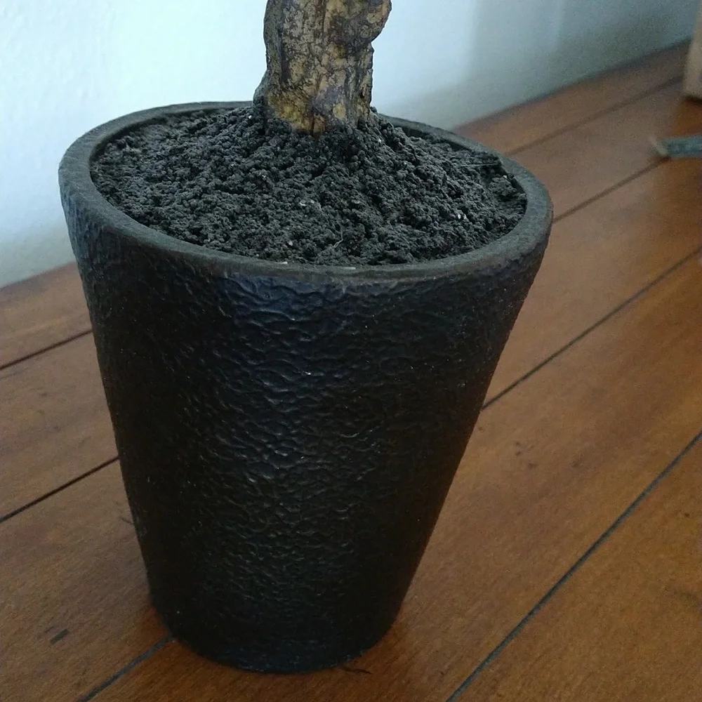 NWOT Faux Plant 22